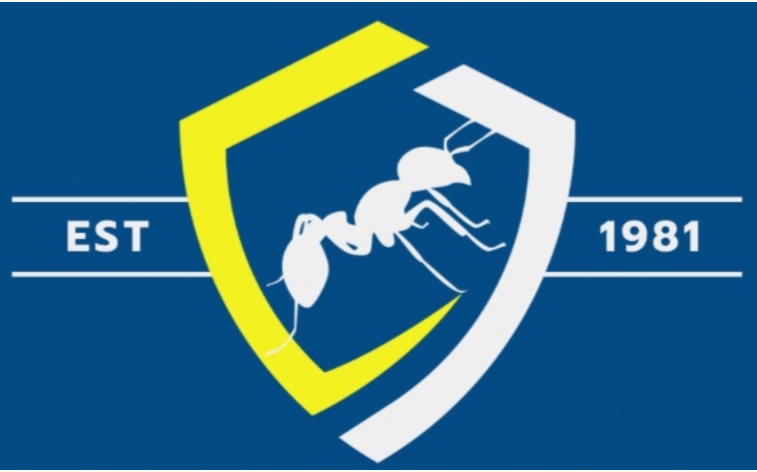 image of bugs